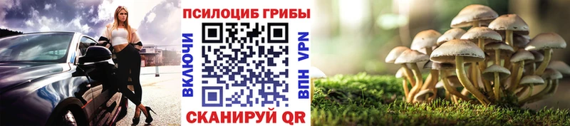 Псилоцибиновые грибы Psilocybine cubensis  сколько стоит  мега ССЫЛКА  Тогучин 